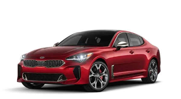 Stinger